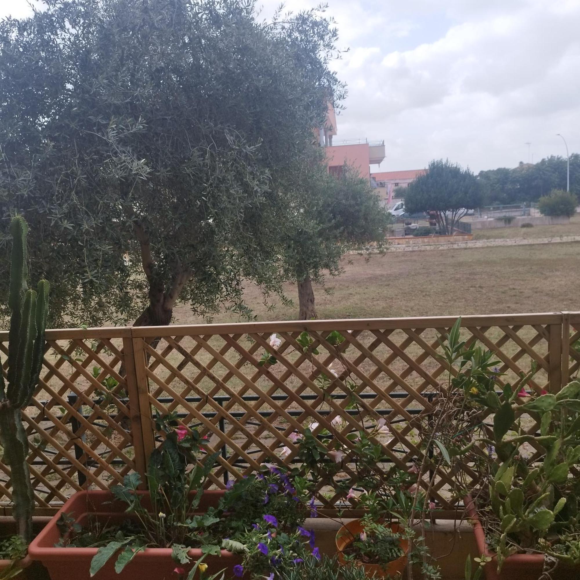 Alghero Lovely Flat Διαμέρισμα Εξωτερικό φωτογραφία