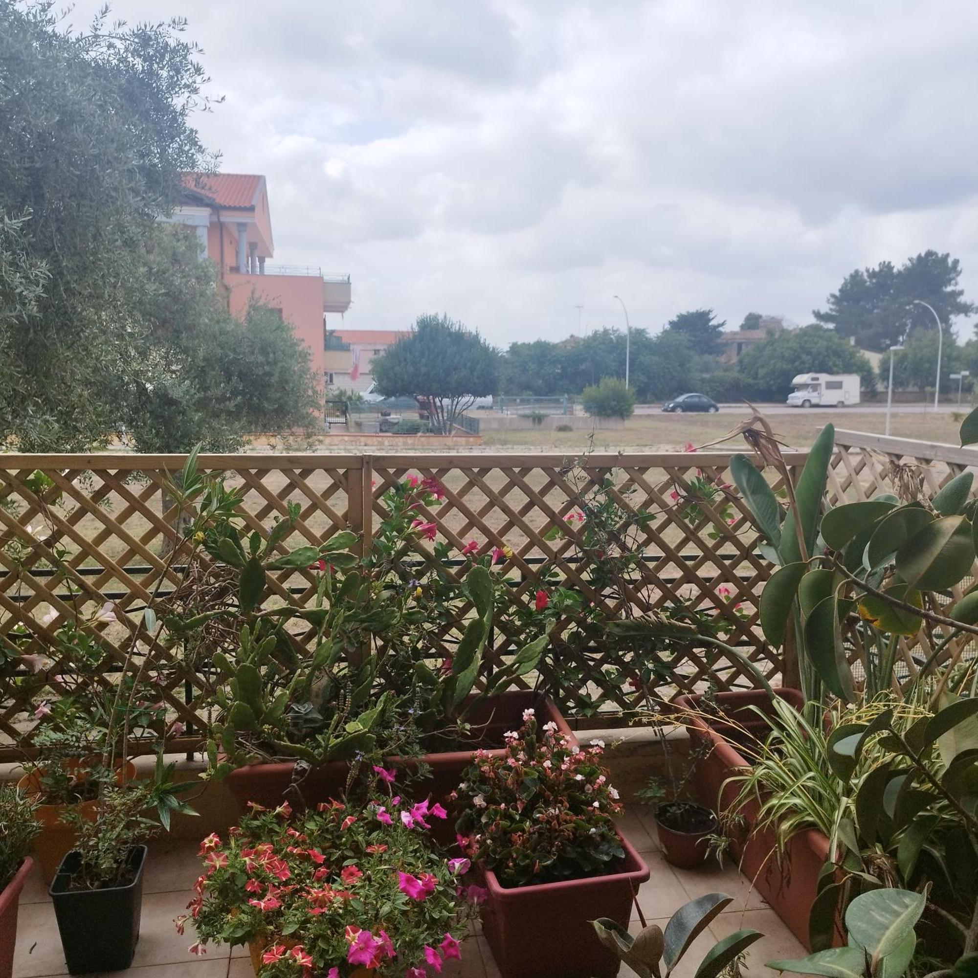 Alghero Lovely Flat Διαμέρισμα Εξωτερικό φωτογραφία